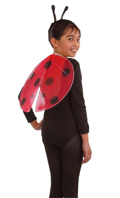 Ailes de Coccinelle Enfant
