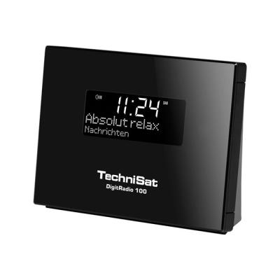 TechniSat DigitRadio 100 - DAB-radiotuner