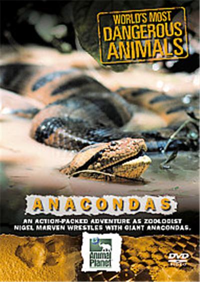 World's Most Dangerous Animals - Anaconda