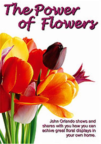 The Power Of Flowers