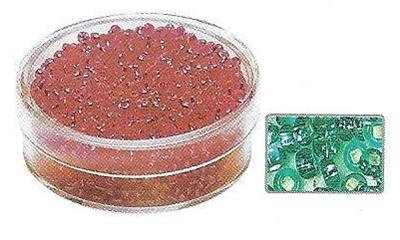 RAYHER  Rocailles - &Oslash; 2 mm - Avec garniture dargent - Jade - Bo&icirc;te de 17 g 