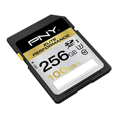 PNY  Elite Performance - Carte m&eacute;moire flash - 256 Go - UHS Class 3 / Class10 - SDXC UHS-I 