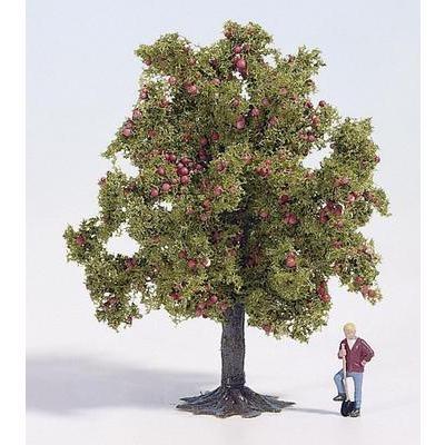 Arbre pommier noch 28513 45 mm