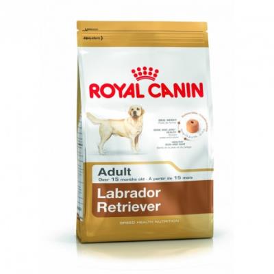 Croquettes royal canin labrador retriever 30 adulte sac 12 kg