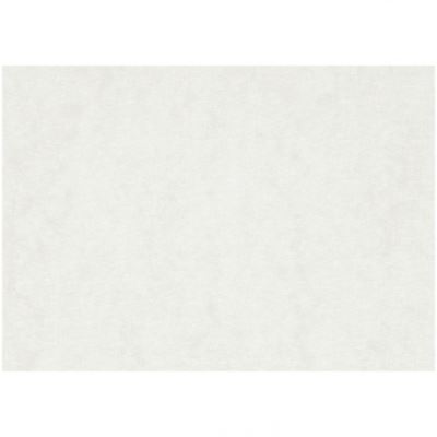 TOM papier aquarelle 100 pièces A5 300 gr