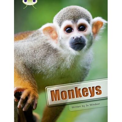 Monkeys (White A / NC 2A) (BUG CLUB)