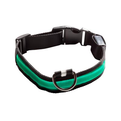 Collier lumineux eyenimal / vert
