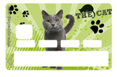 Sticker Carte de Crédit Little Cat Green