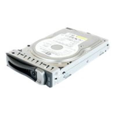 Origin Storage - Vaste schijf - 300 GB - hot-swap (verwisselbaar zonder uitschakelen) - 3.5 - SAS - 15000 tpm - voor Dell PowerEdge C6100 (3.5), C6105 (3.5), C6145 (3.5)