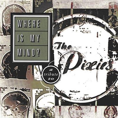 Where Is My Mind?A Tribute To The Pixies (LP)