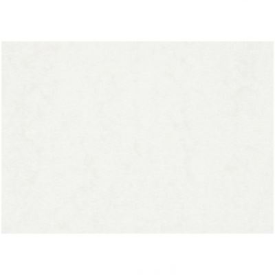 TOM papier aquarelle 100 pièces A2 200 gr