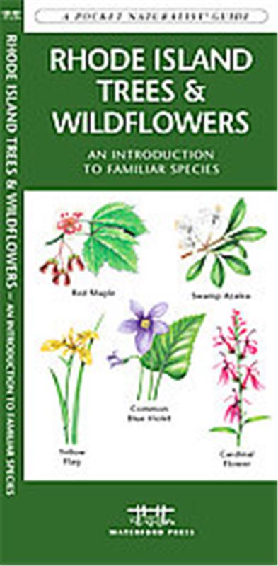 Rhode Island Trees & Wildflowers, A   pocket naturalist guide