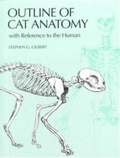Outline of Cat Anatomy With Reference to the Human