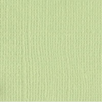 Papier texture toile - Aloe vera - 30,5x30,5cm