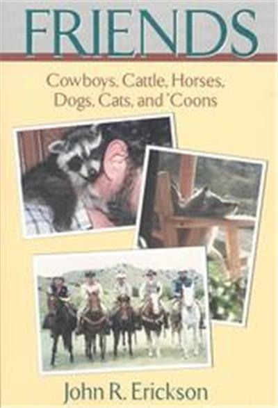 Friends, Western Life Series