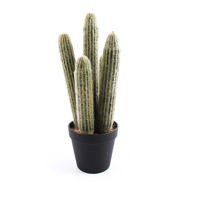 Cactus artificiel succulent 39cm