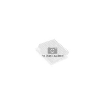 Intel xeon e5-2630 v3 (bx80644e52630v3) - 1