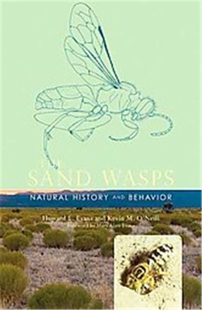 The Sand Wasps