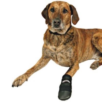 Trixie Bottes de Protection Walker Care Taille M 2 Pièces pour Chien (Border Collie)