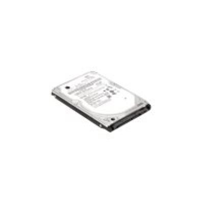 Lenovo ThinkPad - Vaste schijf - 1 TB - 2.5 - SATA 6Gb/s - 5400 tpm - voor ThinkPad E490; E590; L560; P50; P51; P51s; P70; P71; ThinkPad Yoga 14; 460