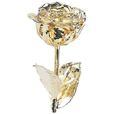 Rose éternelle - Dorée à l'or 24 carats