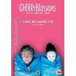 Cherry Blossoms