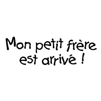 Tampon - Naissance d'un petit frère