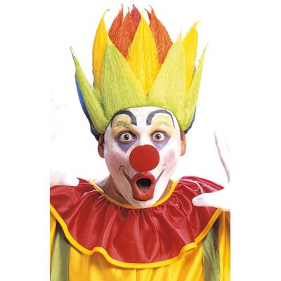 Perruque Clown Multicolore