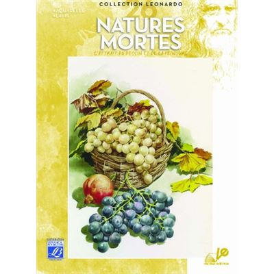 Lefranc Bourgeois Léonardo n°26 Album d'étude Natures mortes