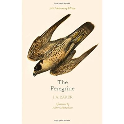 The Peregrine: 50th Anniversary Edition - [Version Originale]