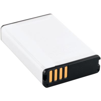 Garmin 010-11654-03 Batterie lithium-ion