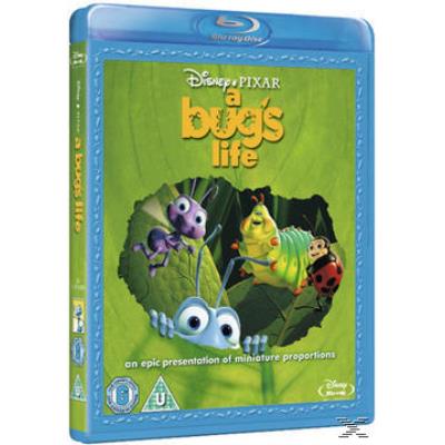 A Bug's Life