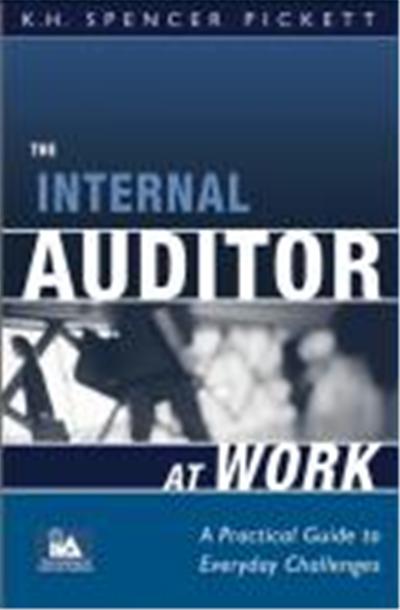 The Internal Auditor at Work: A Practical Guide to Everyday Challenges