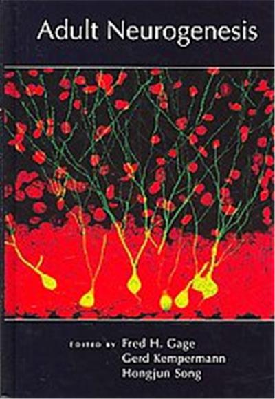 Adult Neurogenesis