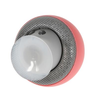 Haut-parleur champignon mignon Kawaii, sans fil, Bluetooth, Mini  haut-parleur de basse stéréo Portable – acheter aux petits prix dans la  boutique en