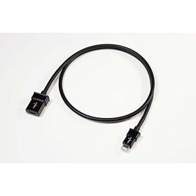 CableJive dockXtender Rallonge de câble Lightning Compatible Apple iPhone 5 iPad mini pour enceintes