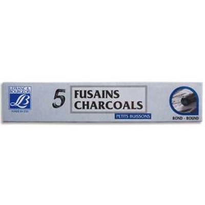 Lot de 5 Etuis 5 fusains PETIT BUISSON, tracé noir
