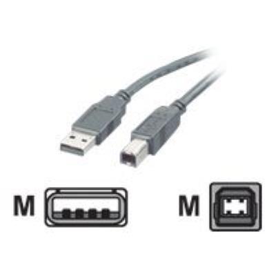 Roline câble USB - 80 cm