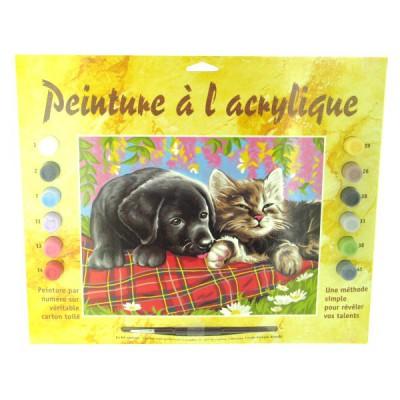 Oz International - Peinture au numéro - Débutants : Comme chient et chat
