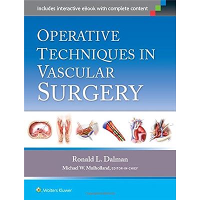 Operative Techniques In Vascular Surgery (Hardcover)