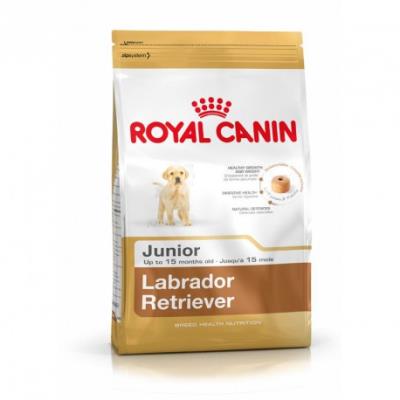 Croquettes royal canin labrador retriever 33 junior sac 12 kg