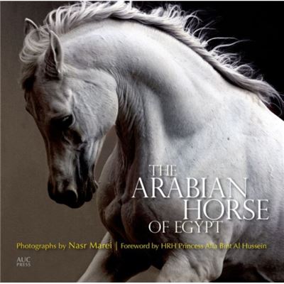 The Arabian Horse Of Egypt (Paperback)