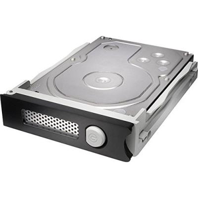 G-Technology Spare 4000 - Vaste schijf - 4 TB - hot-swap (verwisselbaar zonder uitschakelen) - SATA 6Gb/s - 7200 tpm