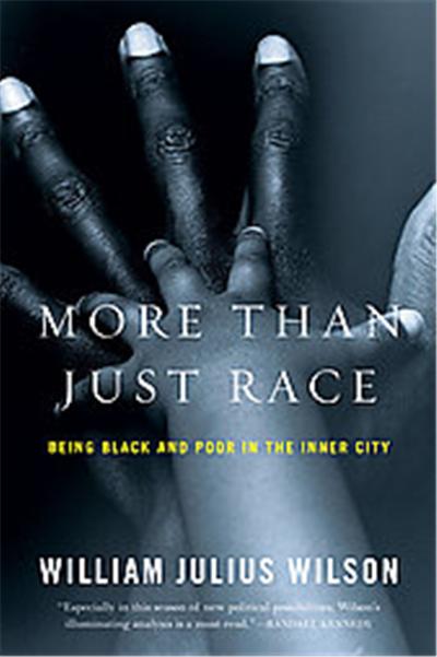 More Than Just Race, Issues of Our Time Series