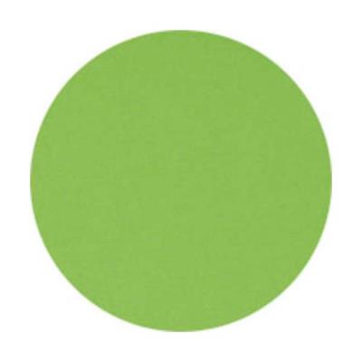 Lot de 5 Ramettes de 500 feuilles papier couleur TROPHEE 80 grammes format A4 vert
