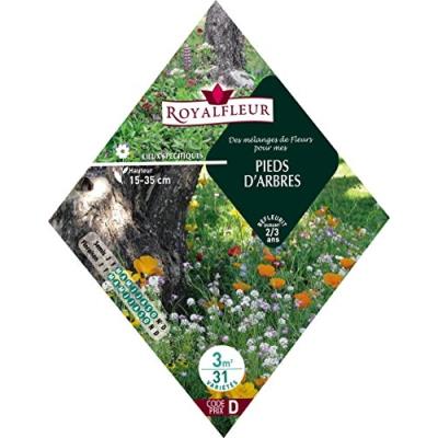 Royalfleur Pfrk08608 Graines De Mélange De Fleurs Mes Pieds D'Arbres 3 M²