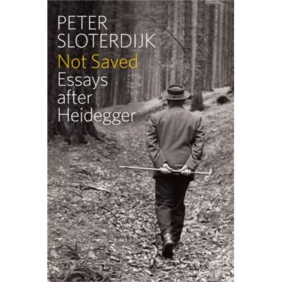 Not Saved: Essays After Heidegger (Paperback)