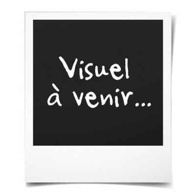 Brosse et dupont (la) ysia brosse porkpin 1045867