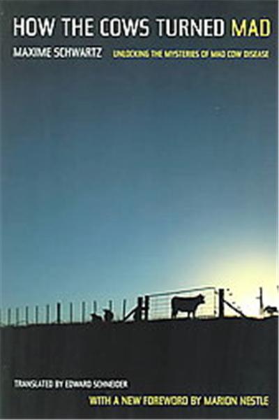 How the Cows Turned Mad