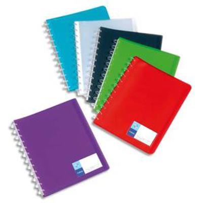 Lot de 12 Protège-documents MAXI GEODE 60 vues en polypro translucide 7/10ème, coloris assortis